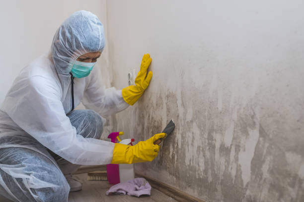 Best Mold Testing  in Columbus, KS