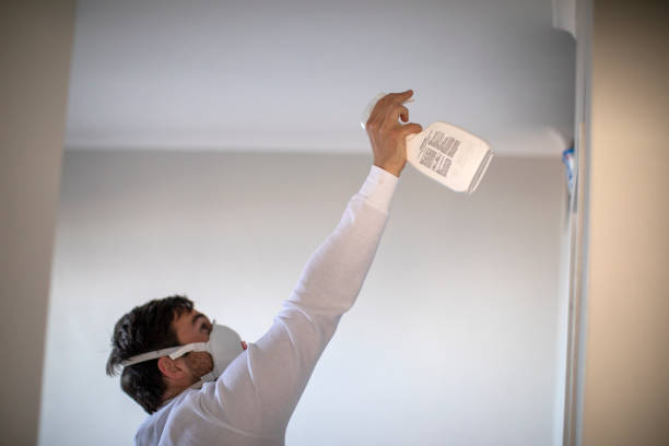 Best Mold Inspection  in Columbus, KS