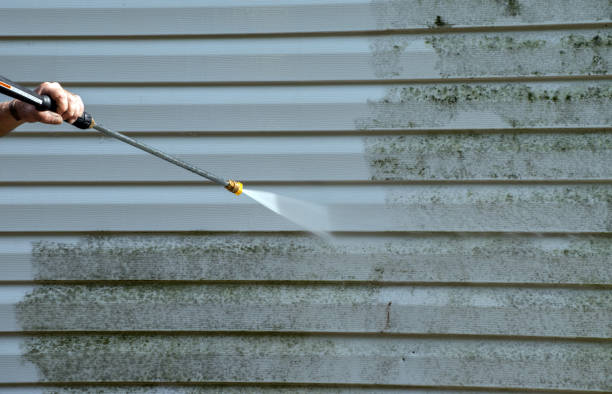 Best Mold Removal Company Near Me  in Columbus, KS
