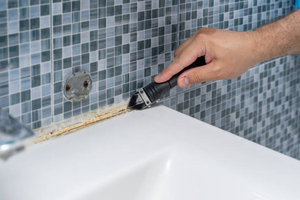 Best Mold Remediation  in Columbus, KS