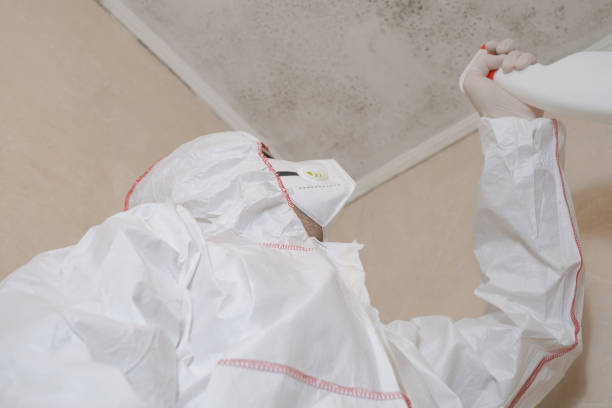 Best Fast Mold Removal  in Columbus, KS
